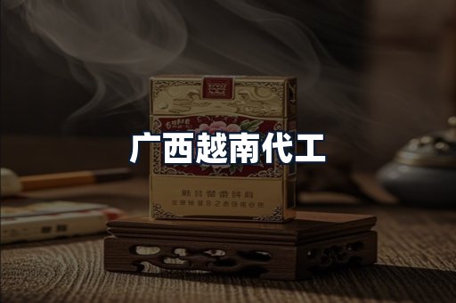 广西越南代工